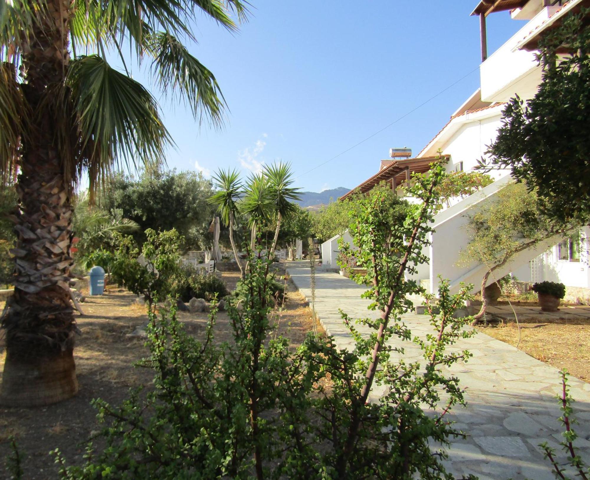 Asklipion Valley Guest House 科斯镇 外观 照片